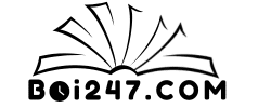 boi247.com